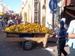 Les oranges marocaines sont succulentes !